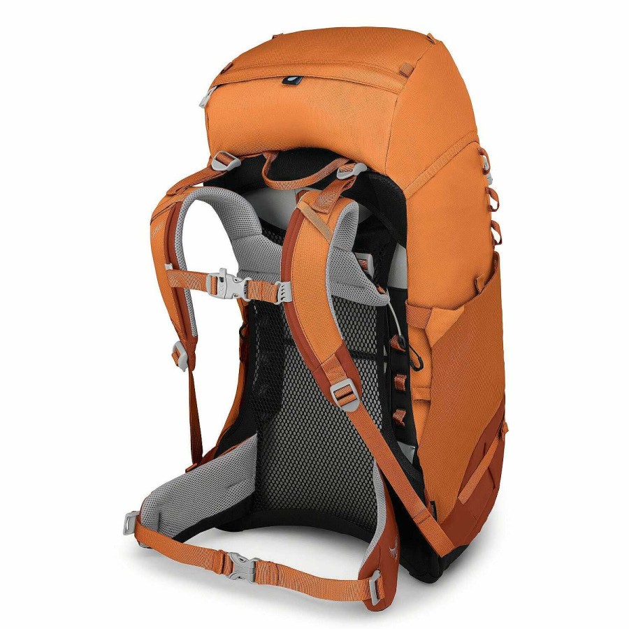 Backpacks Osprey | Osprey Ace 38 Backpack 64 Cm