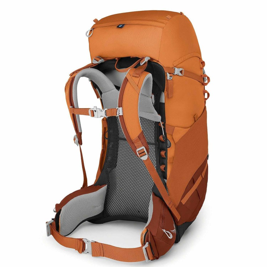 Backpacks Osprey | Osprey Ace 50 Backpack 70 Cm