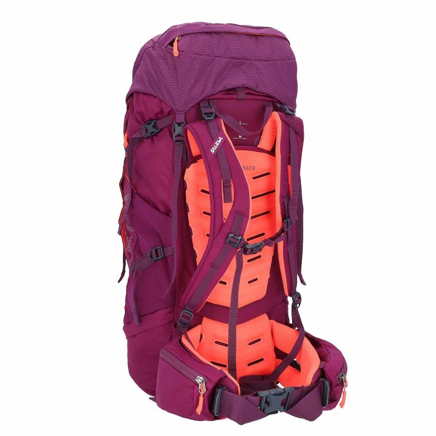 Backpacks Salewa | Salewa Alptrek 50 Backpack 77 Cm