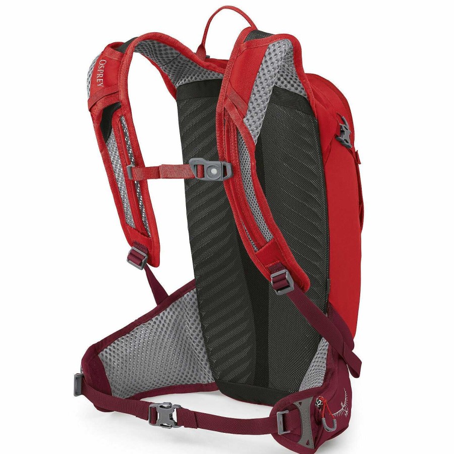 Backpacks Osprey | Osprey Siskin 12 Backpack 47 Cm