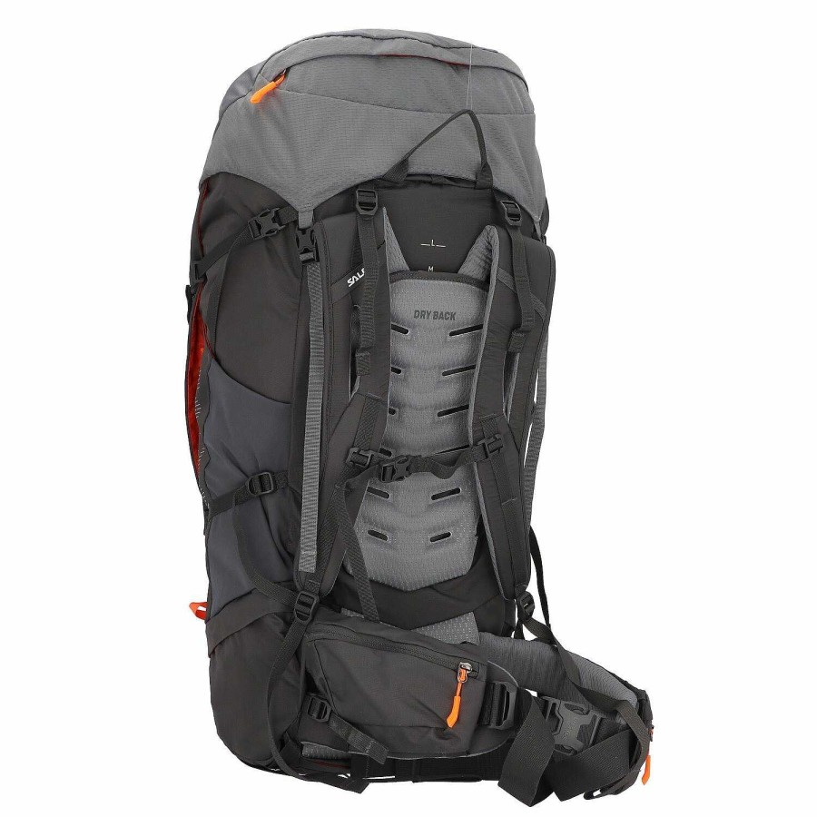 Backpacks Salewa | Salewa Alptrek 65 Pro Backpack 81 Cm