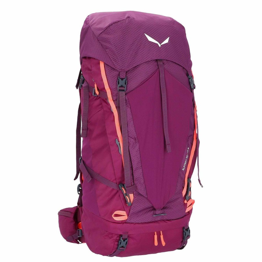 Backpacks Salewa | Salewa Alptrek 50 Backpack 77 Cm