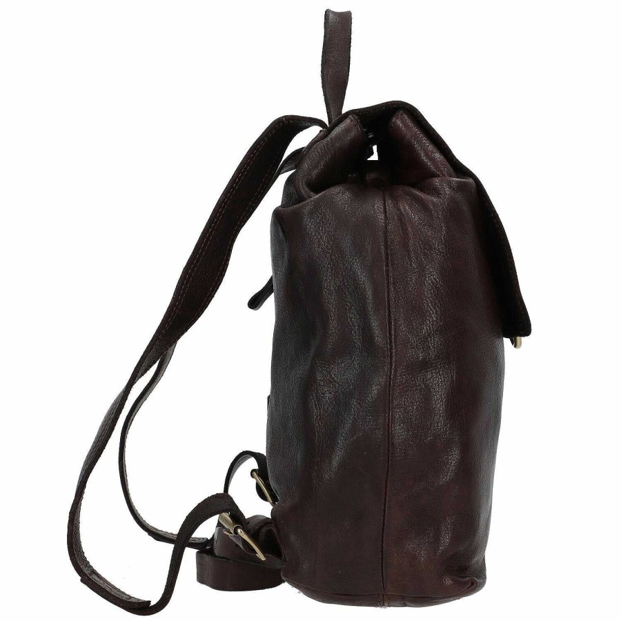 Backpacks Campomaggi | Campomaggi City Backpack Leather 28 Cm